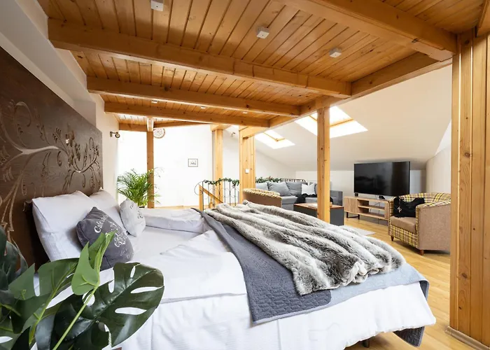 Apartament Grand Krupowki 47